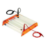 Major Science Cellulose Acetate Electrophoresis System