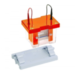 Vertical Gel Electrophoresis Sys (2)