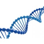 DNA Molecular Weight Marker (1)